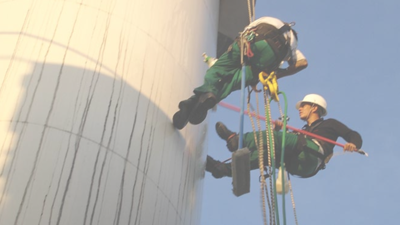 Como a Caesar Vertical cresceu 150% durante o processo de certificação ISO!