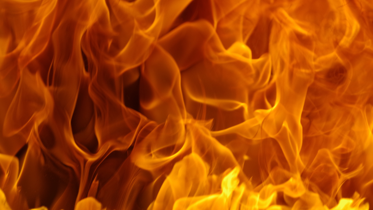 Por que algumas empresas prosperam e outras só apagam incêndios?