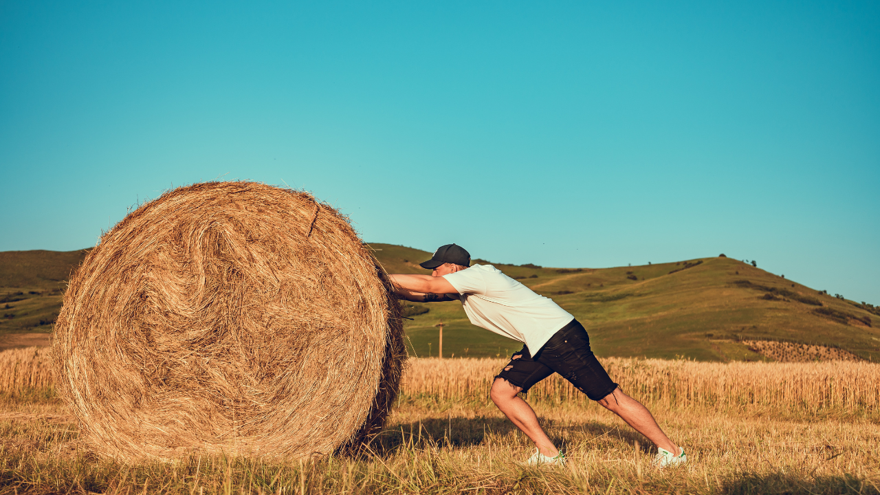 Plano de Ação – 6 erros fatais que matam qualquer execução