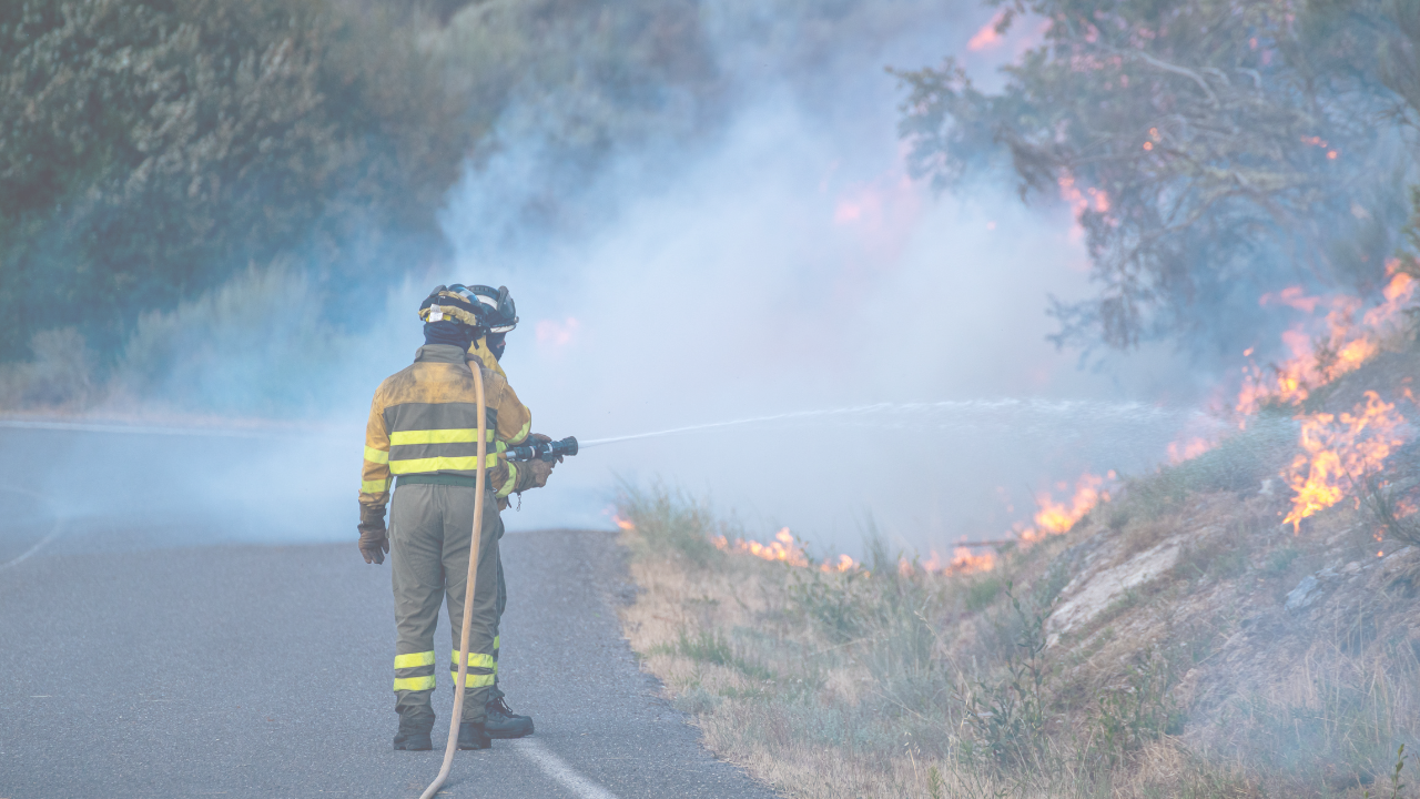 Auditoria ISO sem medo: como simplificar o processo!