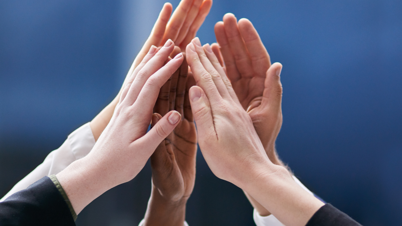 Como estruturar a cultura organizacional da sua empresa: os 4 pilares essenciais